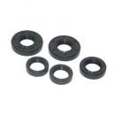 Wellendichtringsatz Z50 Motor NBR